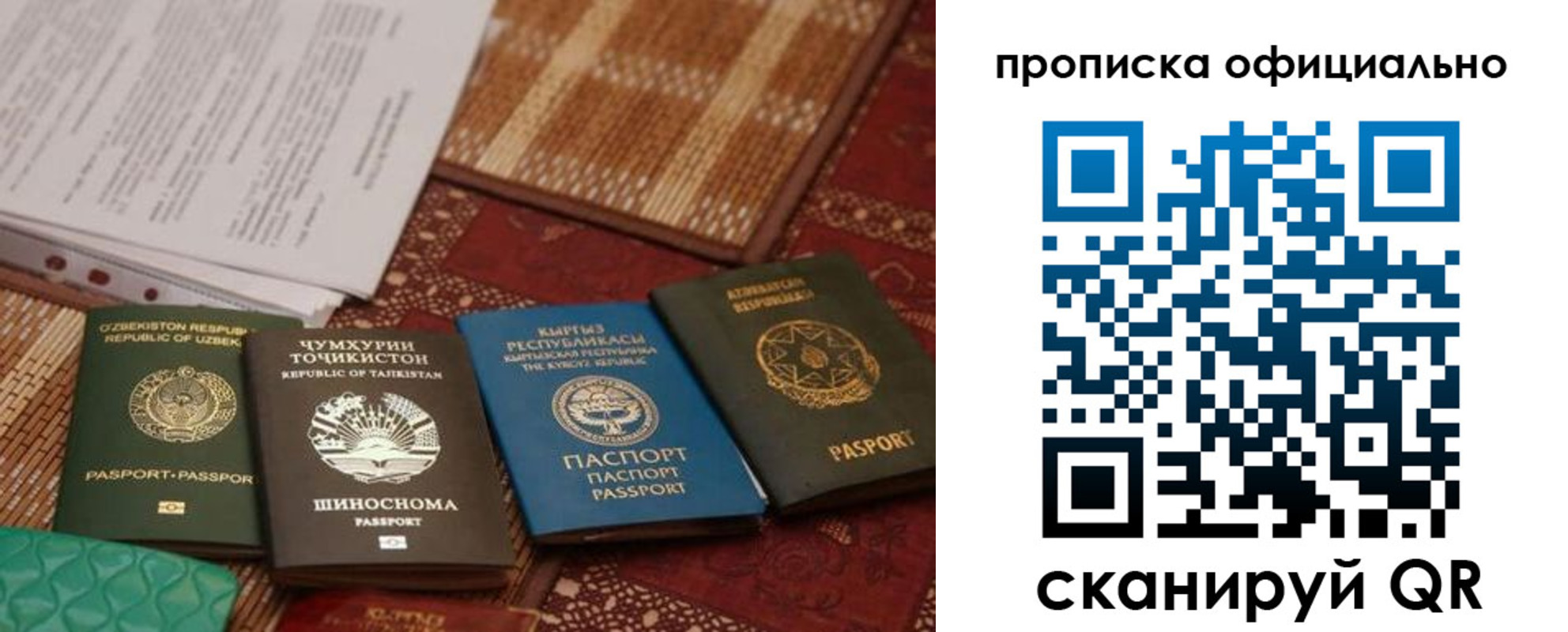 прописка регистрация в Болотном