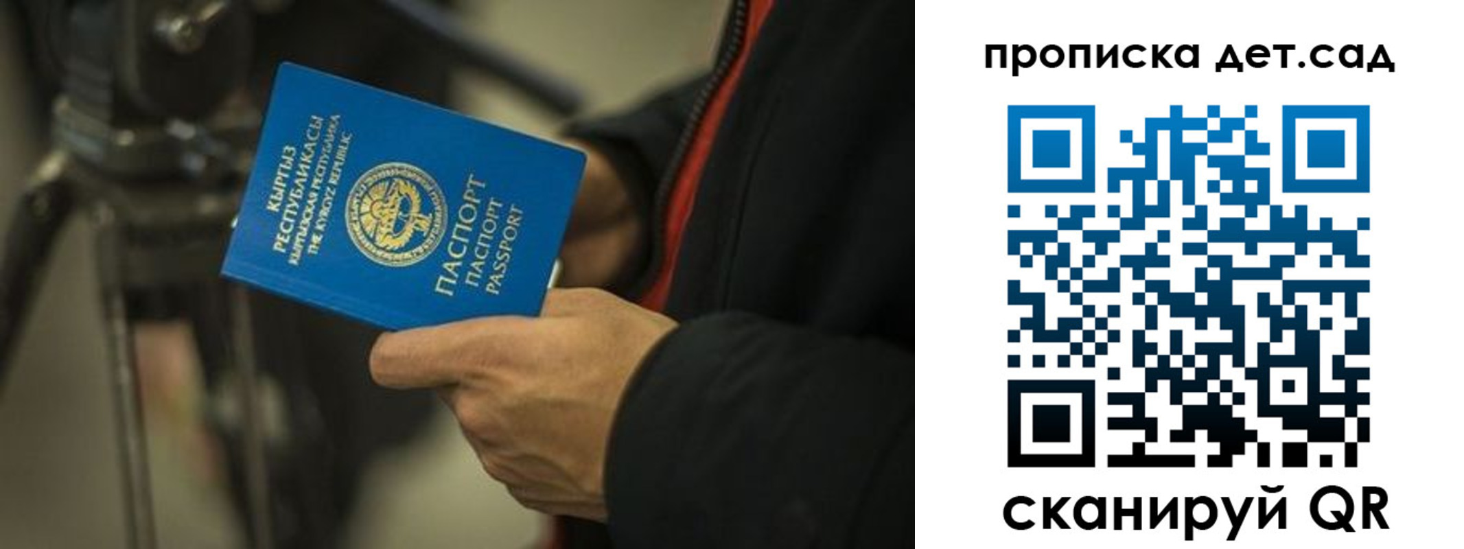 прописка поиск в Болотном